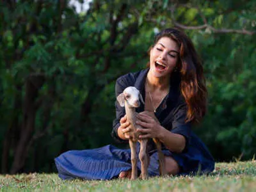 Jacqueliene Fernandez Proves She's the Ultimate Animal Lover and These  Heartwarming Pictures Are Proof