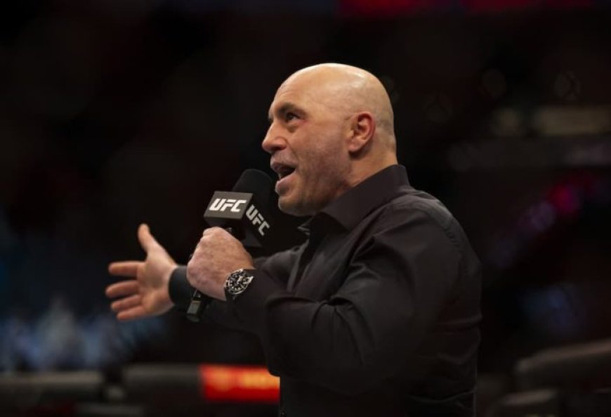 Joe Rogan Makes Bold Statement Over Nick Diaz Claiming The UFC Icon Is One Of The Best Fighters To Ever Do It