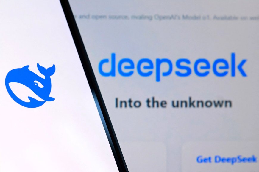 Italy data watchdog restricts DeepSeek, opens probe