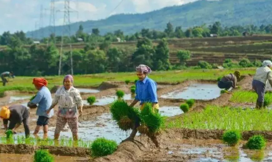 Maharashtra to remove NA charter condition for setting up industry on agriculture land