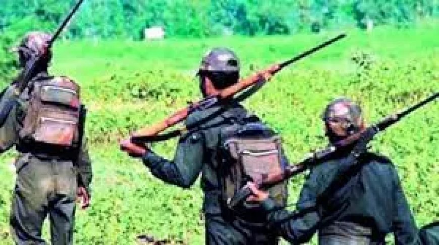 Four jawans fall sick during anti- Naxal operation in Dantewada jungle