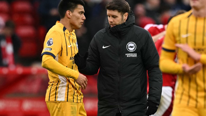 Fabian Hurzeler apologises to Brighton fans after being labelled a ‘disgrace’ over full-time actions