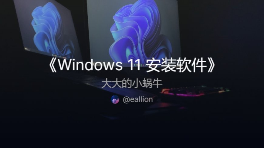 Windows 11 安装软件