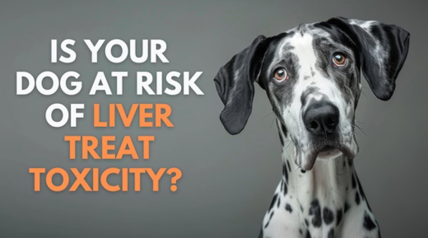 Is Your Dog at Risk of Liver Treat Toxicity