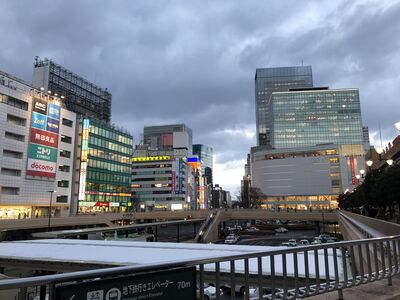 東京、大阪輸了！他狂推「日本1城市」便宜又方便：賞櫻直接包場