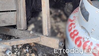 廢棄倉庫驚見一堆白骨「確定是人類的」　DNA鑑定確認身分