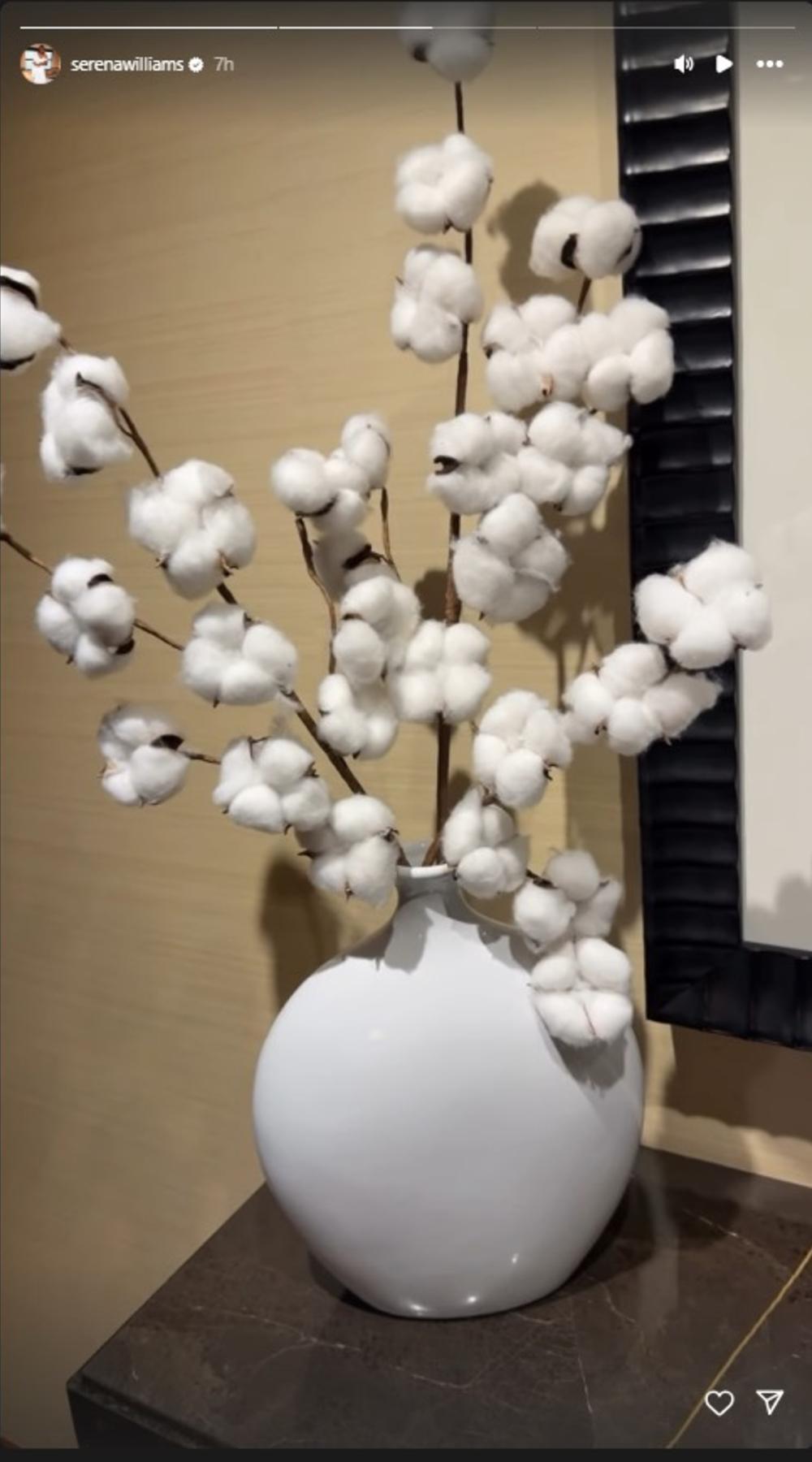 Serena Williams cotton plant post