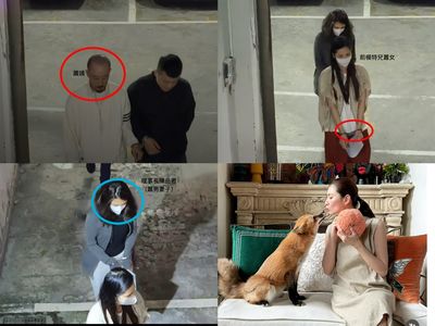 快訊／假公益吸金上億！通緝兄攜名模妹養狐狸、買豪宅被起訴