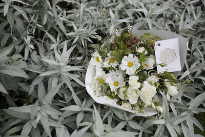 七夕優惠DREAM PLAZA滿5千送200　宏匯廣場最高省12%