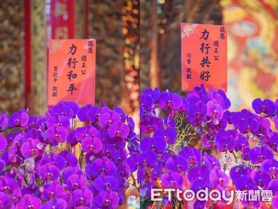 遊學太子爺春節駐駕奇觀！川、習「跨海獻花」 專家曝幕後真相