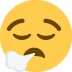 😮&zwj;💨