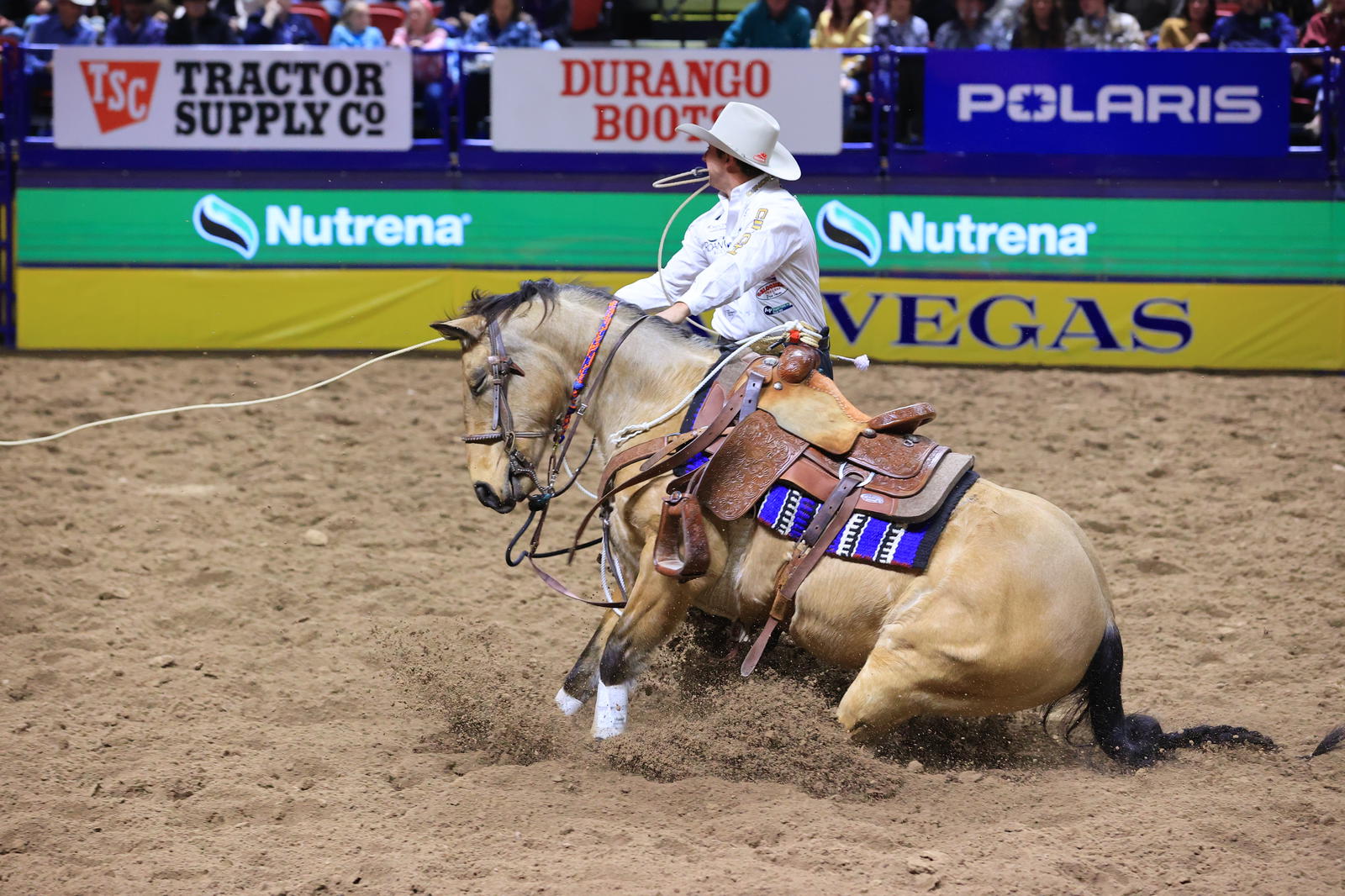 Pesos and Ty Harris 2024 NFR