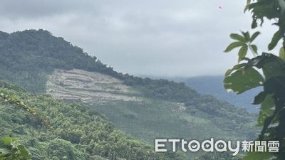 「申請除草+清理樹頭」竟把整座山弄禿　慘被勒令停工移送法辦