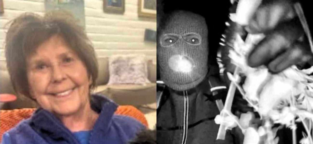 Nancy Guthrie, suspected kidnapper photo collage