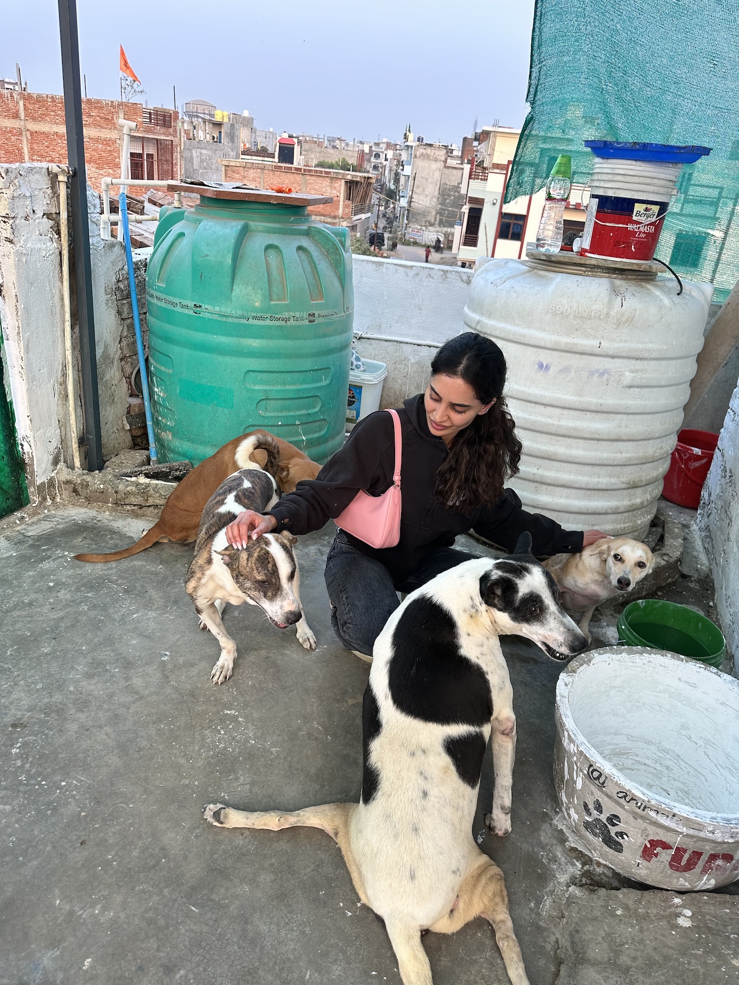 Who Is Priya Jain 6 Things to Know About the Designer Recently Spotted With Joshua Jackson dog lover 2