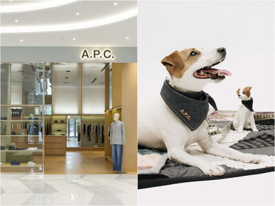 A.P.C.絕美新店進駐Dream Plaza！「獨賣寵物系列」皮革牽繩、領巾太時髦