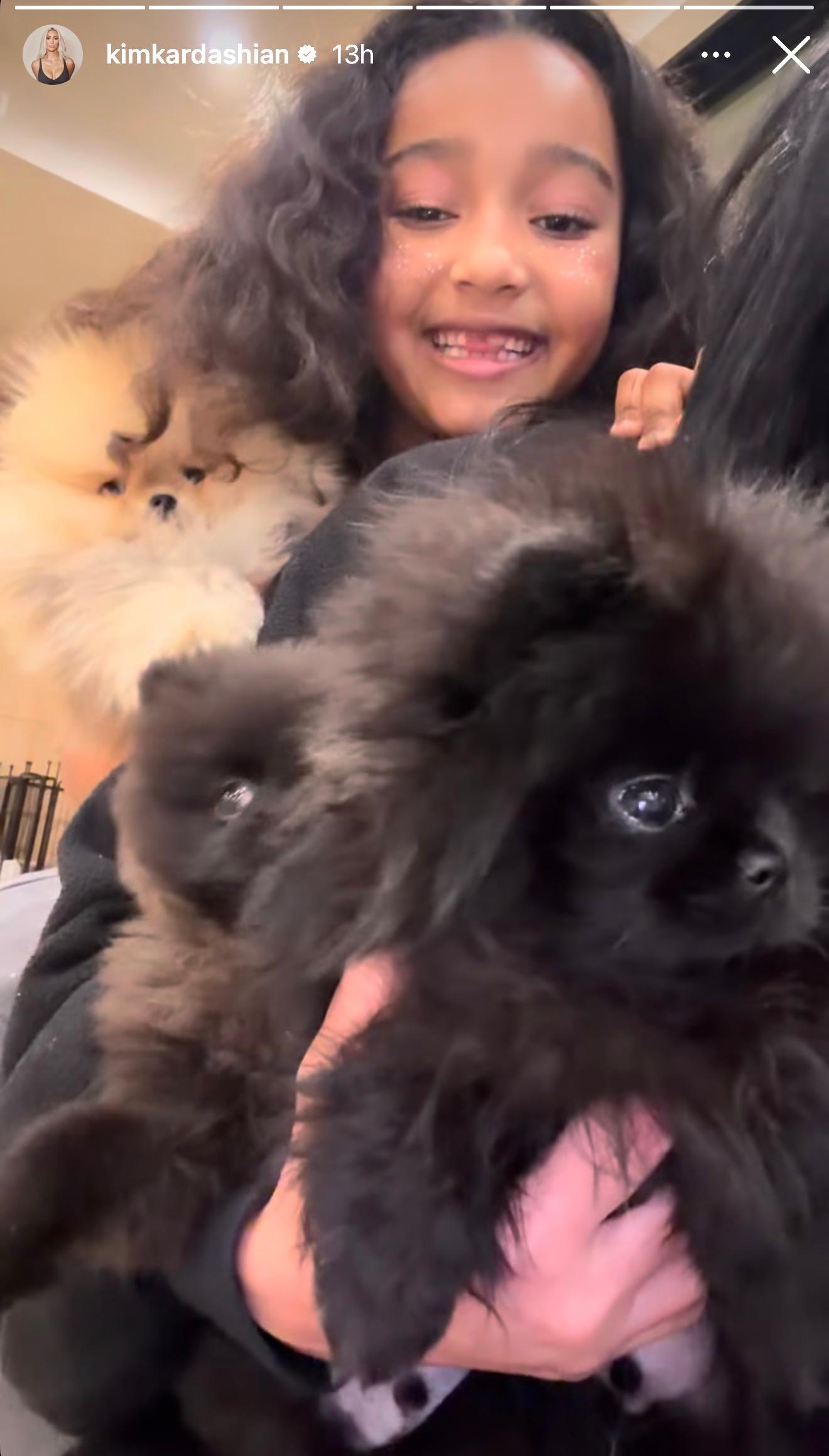 Kim Kardashian gifts her kids puppies