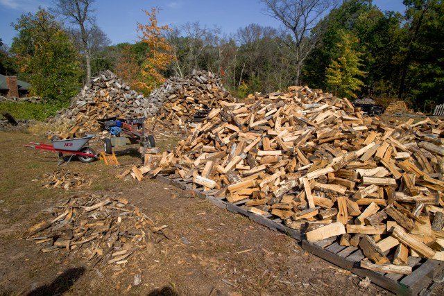 Multiple large piles of firewood outdoors