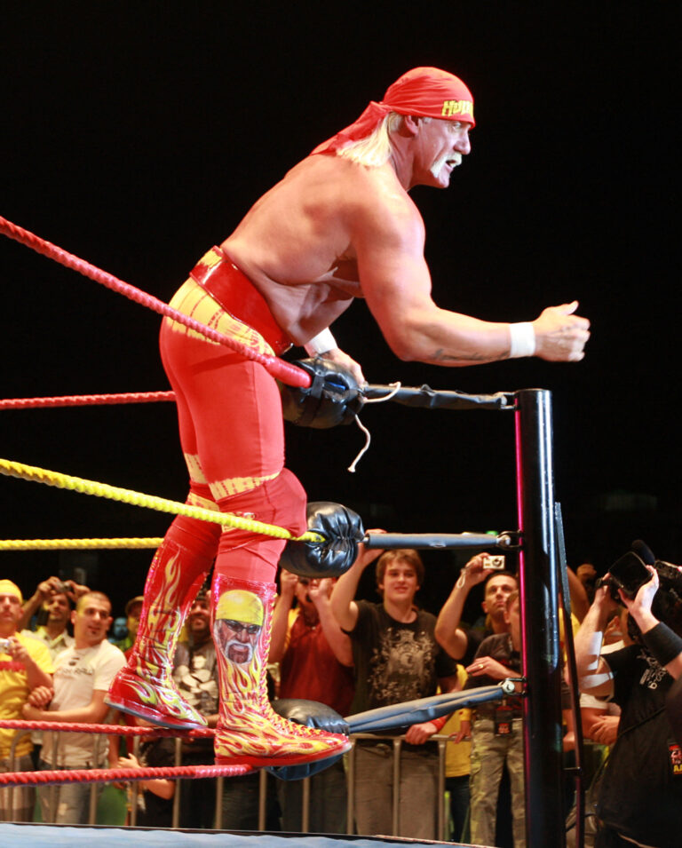 Hulk Hogan in WWF