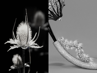 薊草「縫」滿鑽石、白金毛毛蟲很「毛」　BOUCHERON高級珠寶手法超狂