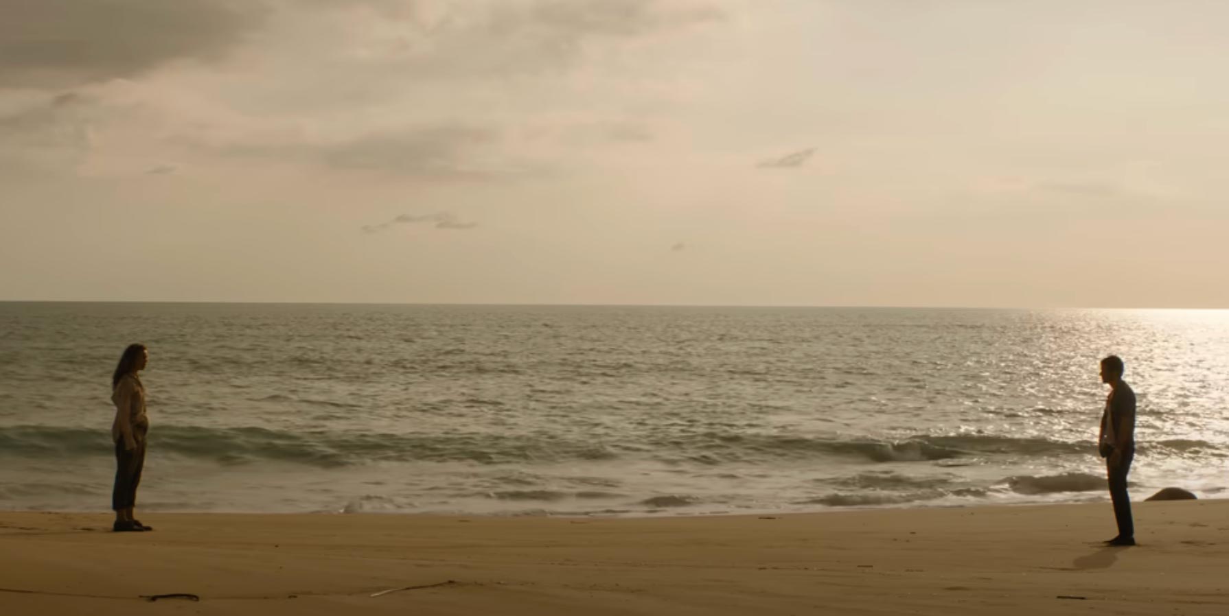 Dylan OBrien and Rachel McAdams Get Stranded on Island in Send Help Trailer What to Know About Film