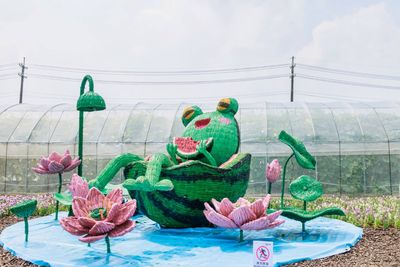 桃園蓮花季「遊客攀爬裝置拍照」　農業局：會加強告示