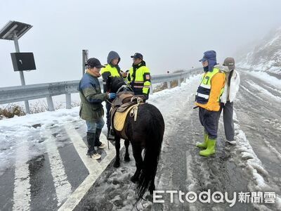「真四驅」上合歡山追雪！騎馬溜達成公路焦點　耍帥代價曝光