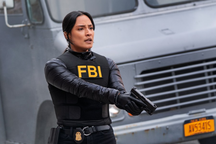 Which FBI Stars Are or Are Not Returning for Season 8 Dani