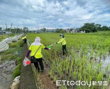 高雄爆今年首例本土日本腦炎　男昏迷住院...足跡接觸史曝光