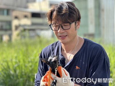 合推動保自治條例修訂　2投縣議員獲全國縣市議員動物保護貢獻獎