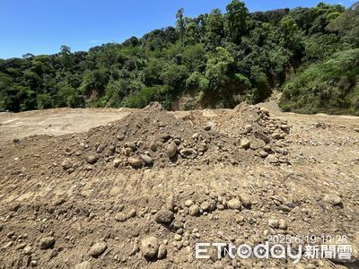 大樹統嶺山林遭剃頭光禿一片　2人聲押1人竟是前檢察官