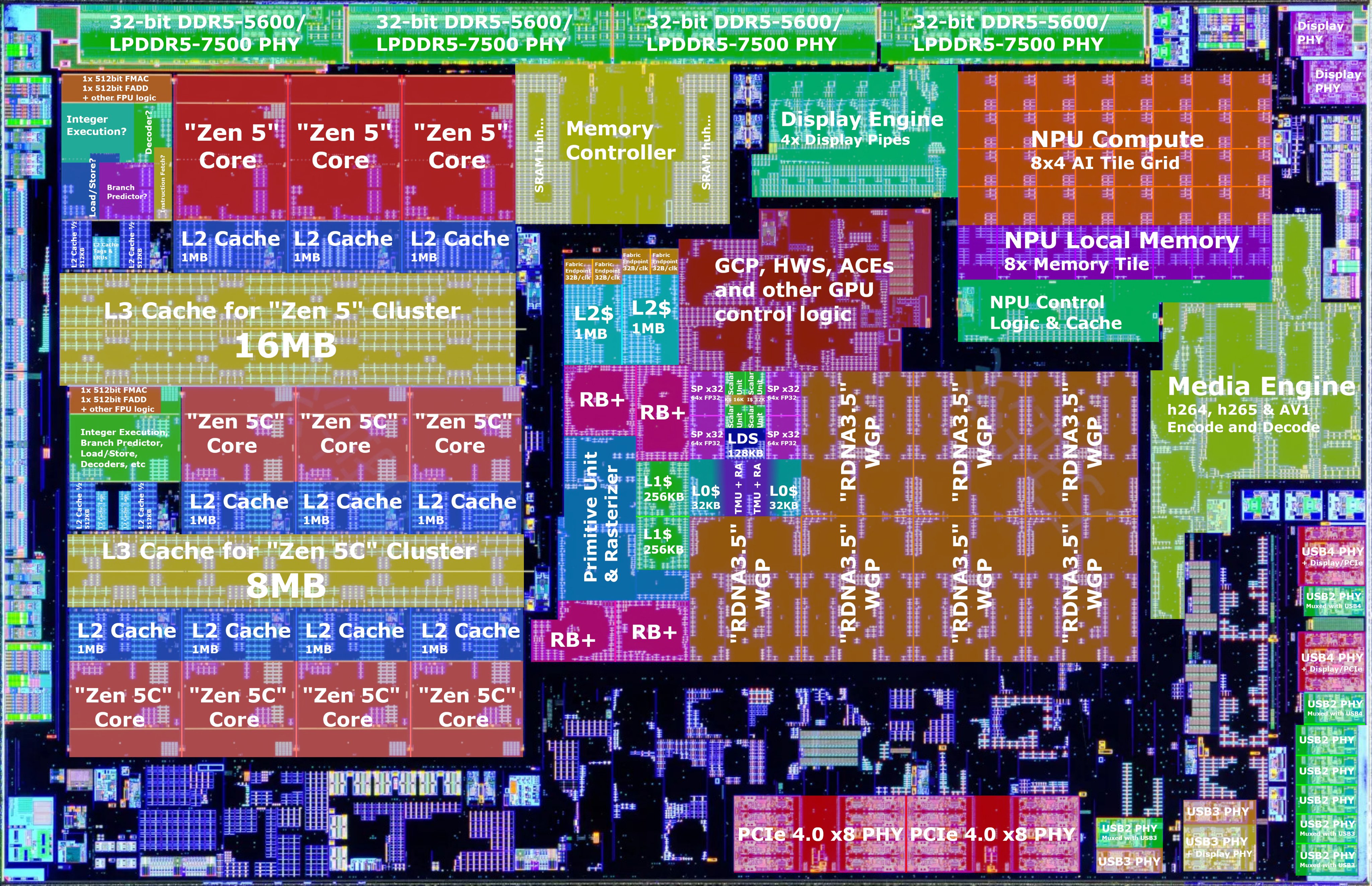 AMD Strix Point annotated