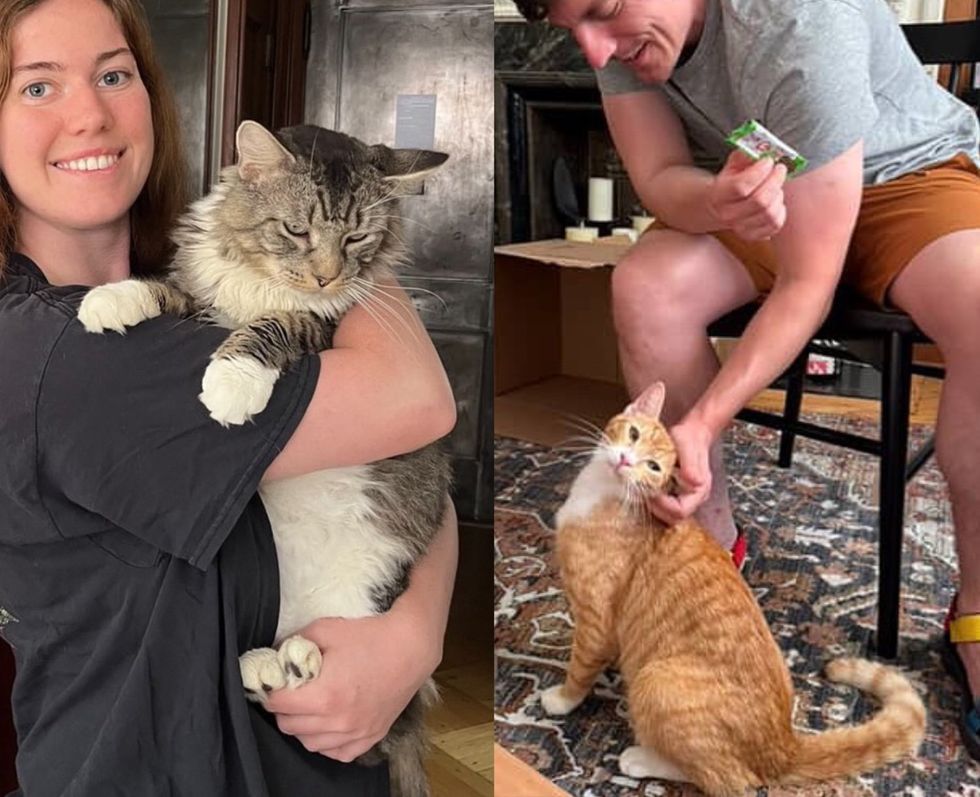 couple snuggles rescue cats