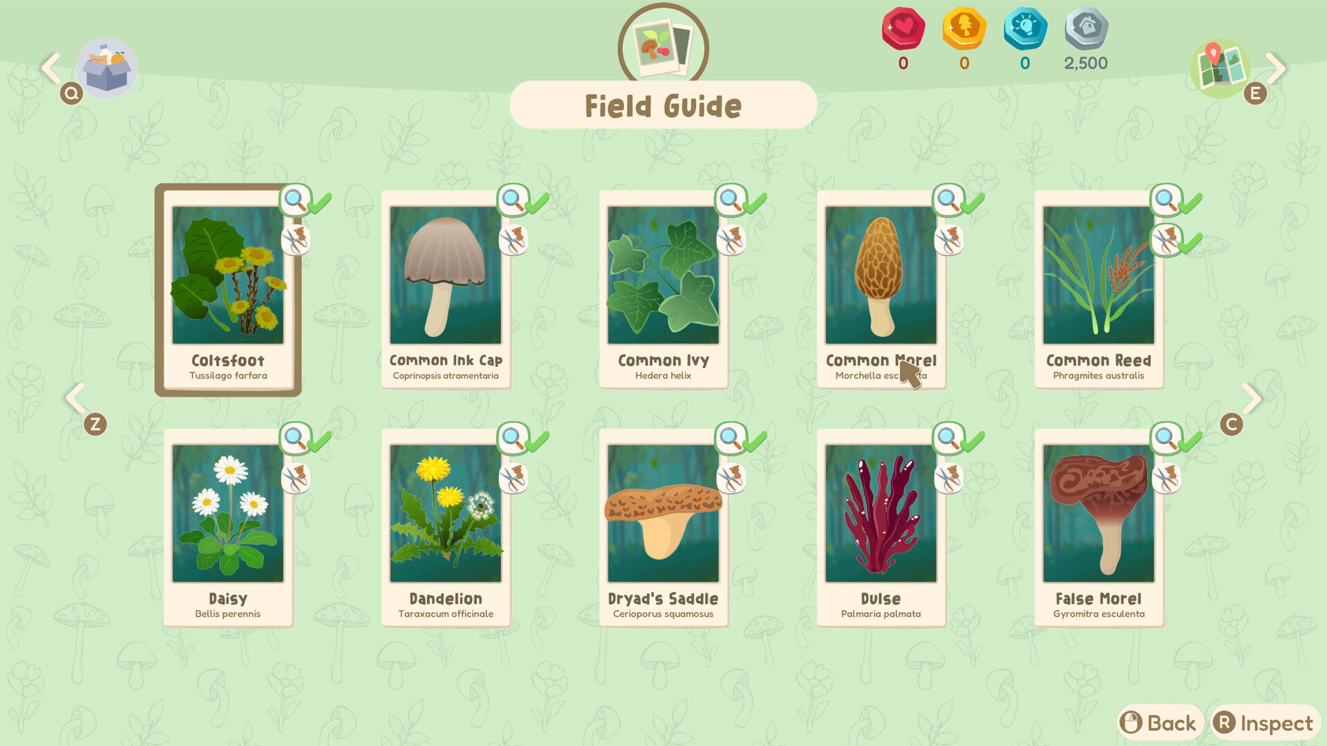 Out and About foraging screenshots
