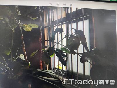 桃園騎自行車到鶯歌闖空門　發現備用鑰匙！偷走2.5萬紅包錢　