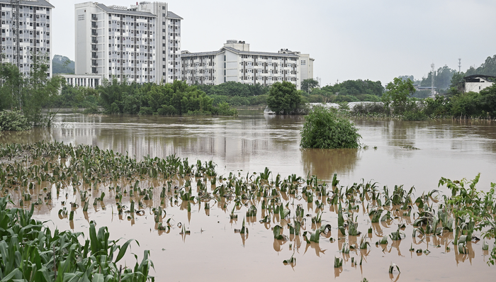 暴雨,重庆特大暴雨;9人死亡;紧急避险转移