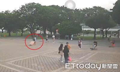 遭棄屍93歲婦有2子5女！陸媳成照顧主力　伴屍一夜怕被責罵鑄大錯