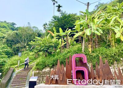 迎馬年走春步步高升　大坑步道成台中熱門首選