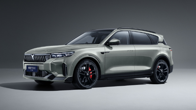 岚图FREE 318-岚图汽车官网