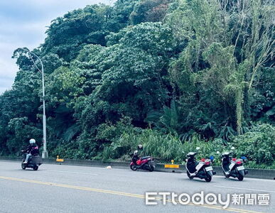 猴群集體出遊衝路中！機車女騎士急閃自摔　人傷車損有夠慘