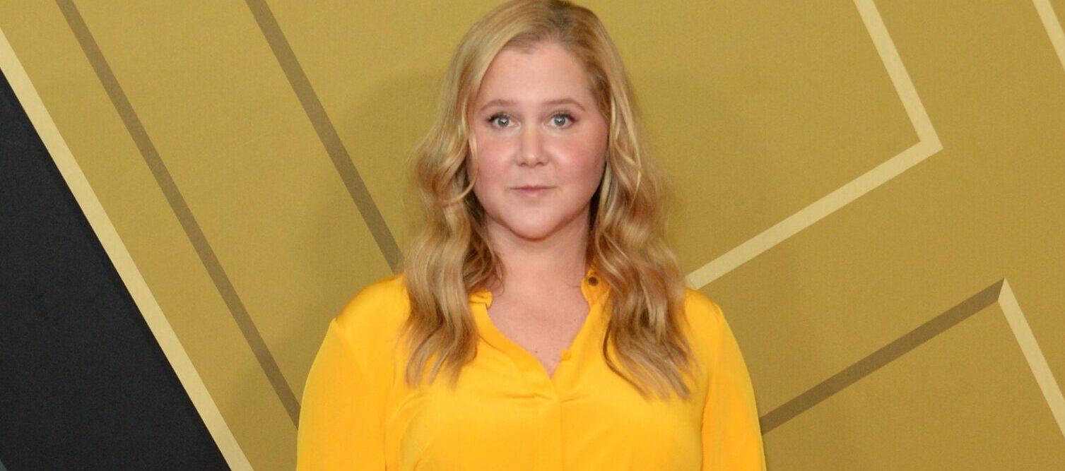 Amy Schumer explains Nicole Kidman joke but fans say, don't explain comedy