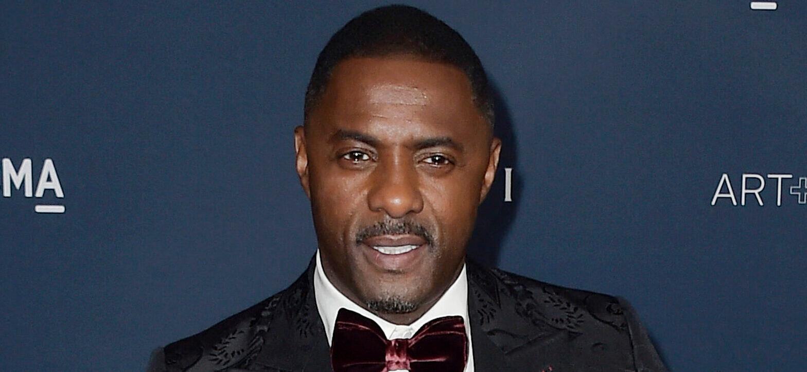 Idris Elba at the 11th Annual LACMA Art + Film Gala