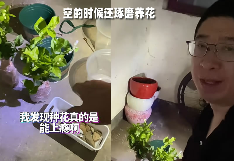 卢松松开始养花了