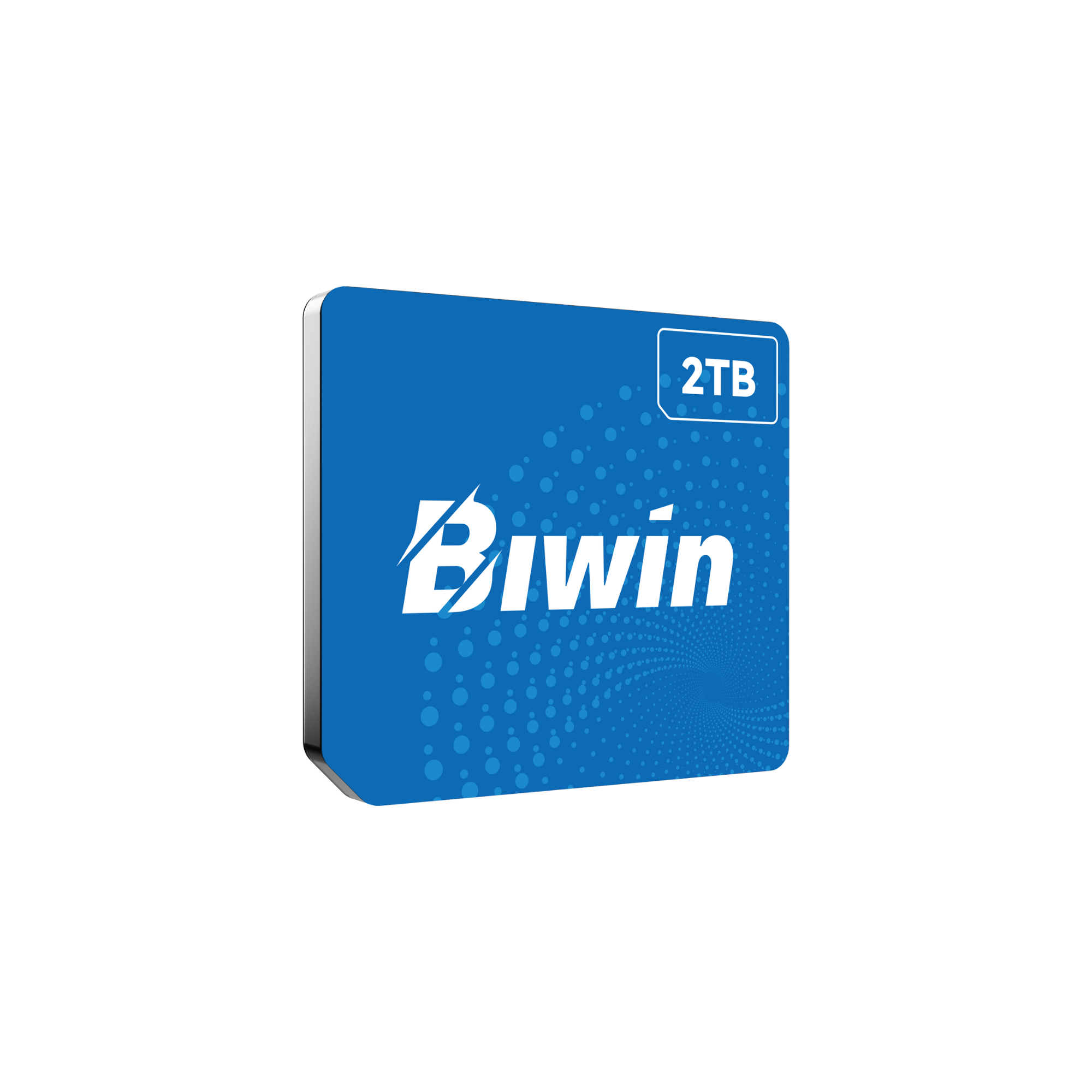 Biwin CL100