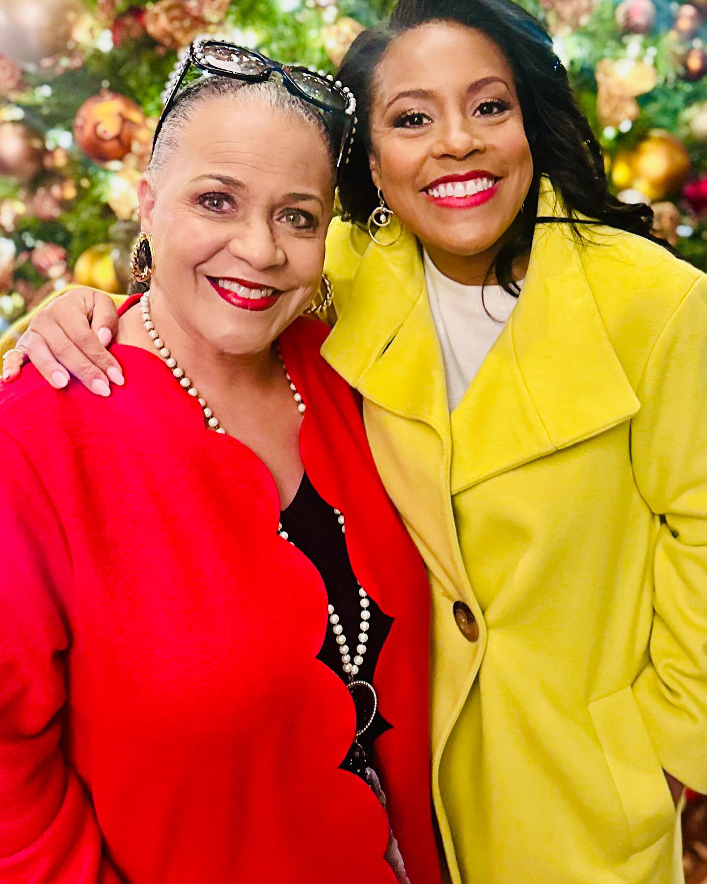 Sheila Kinnard Sheinelle Jones Family Guide