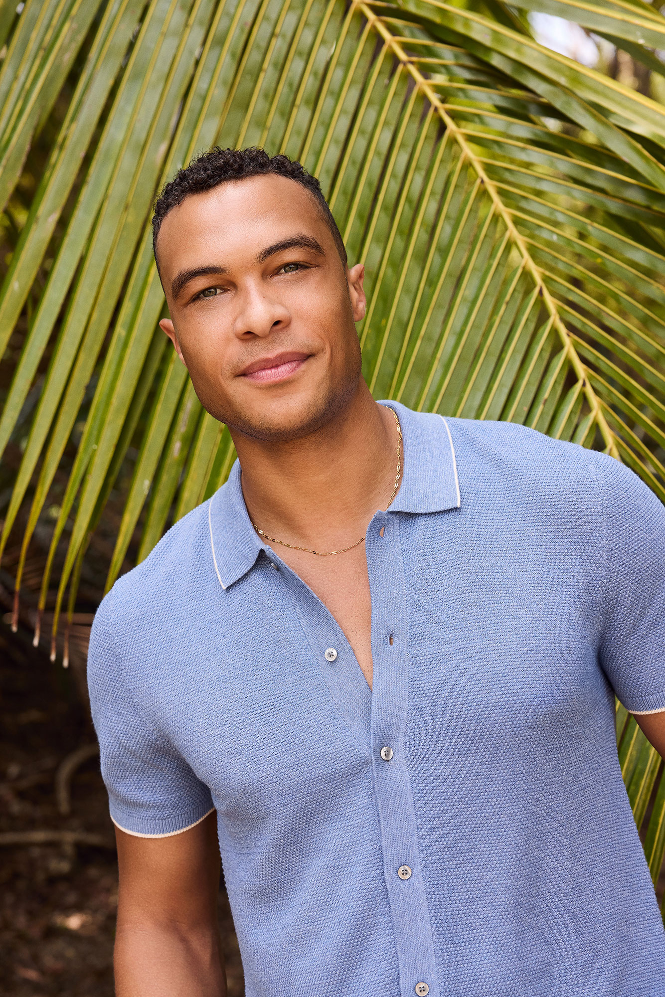 Dale Bachelor in Paradise