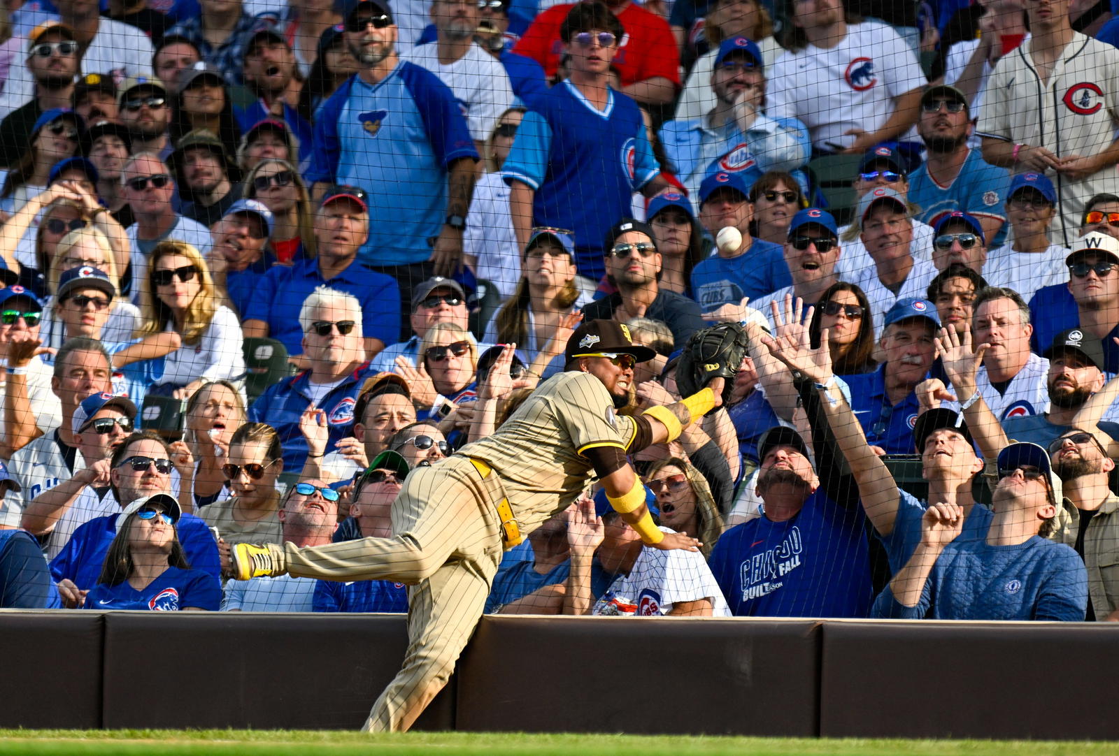 Free-agent second baseman Luiz Arraez. © Matt Marton-Imagn Images