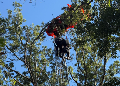 雙人跳傘教練墜亡！　學員「卡15m樹頂」苦撐數小時