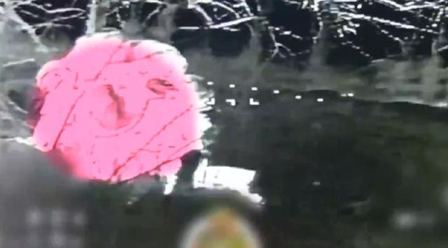 ▲乌军特种部队根本无处藏身