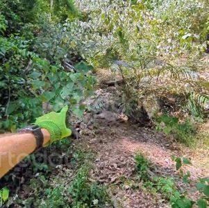 獨／男攀東卯山東南稜失聯47天成乾屍　跑山獸：跌落時應已罹難